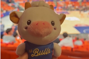 香港金牛当家球星“La Bull Bull”来感受CBA总决赛强度和氛围啦配图